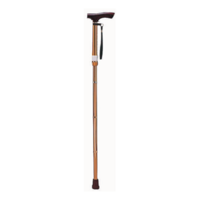 Canne non pliable pour adulteok