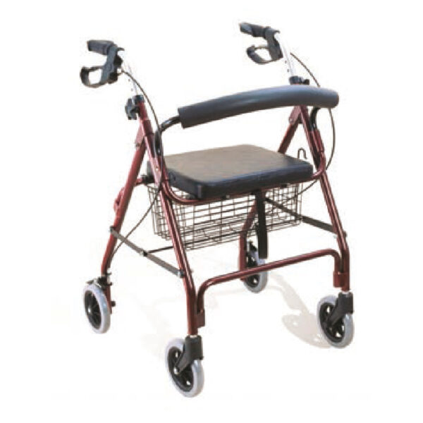 Rollator standard pour adulte
